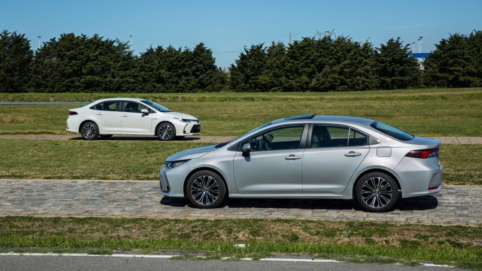 Nuevo Corolla (38)