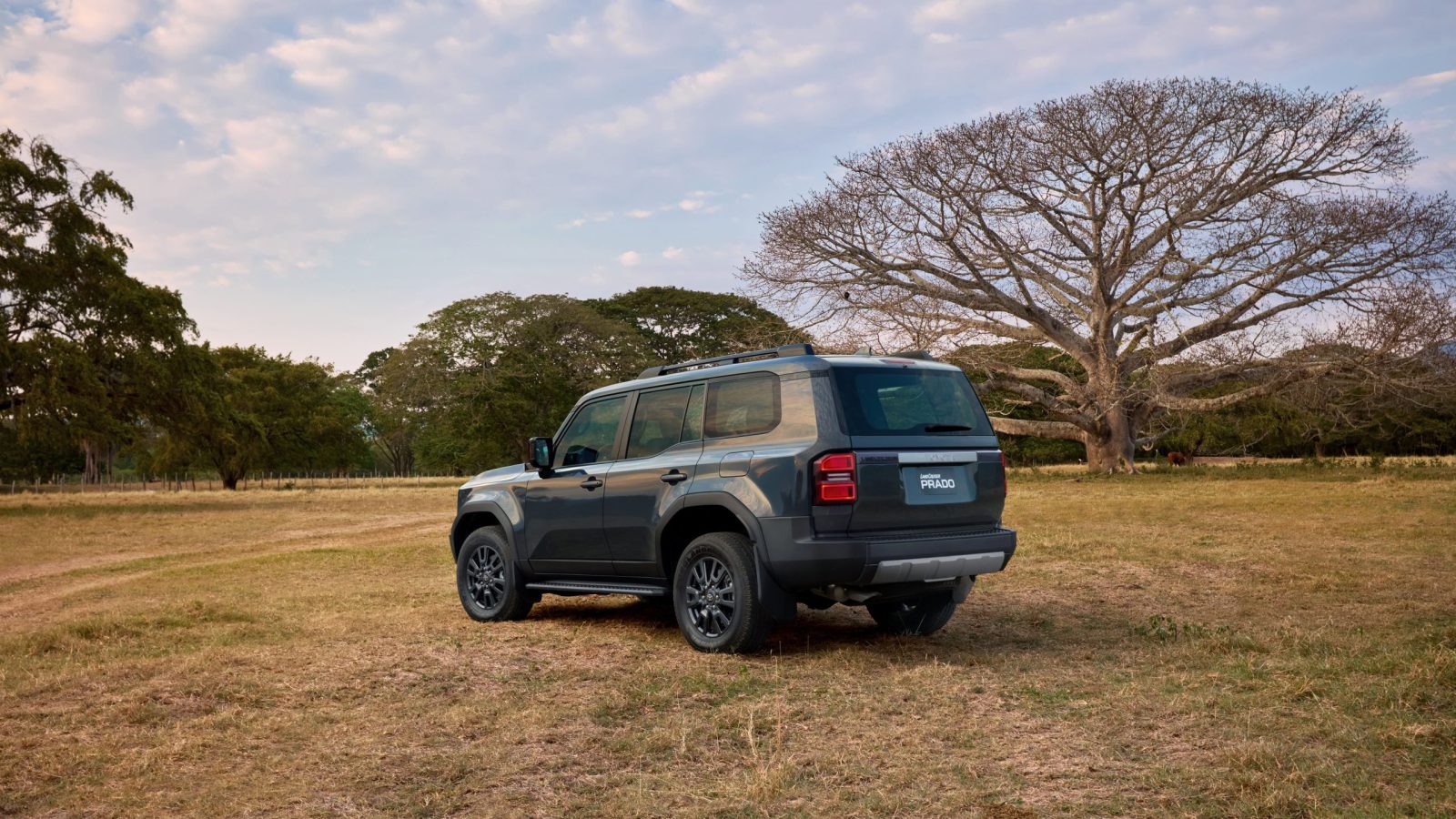 TOYOTA LAND CRUISER 2024 3-4 TRASERO