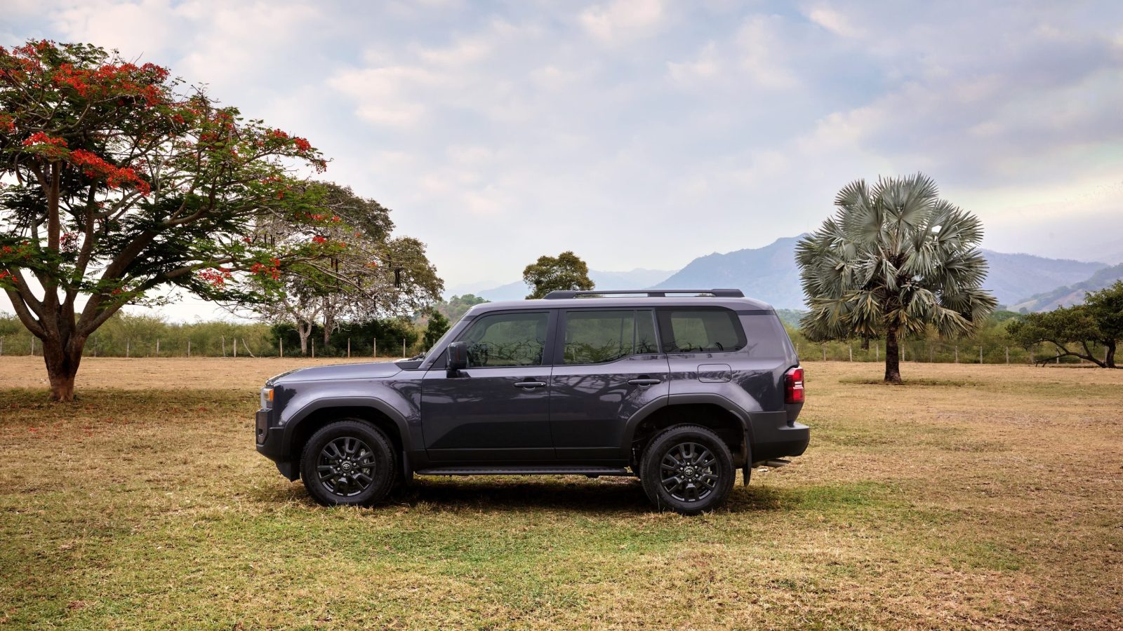 TOYOTA LAND CRUISER 2024 LATERAL